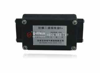 電91看片看淫黄大片FJH防爆二通接線盒